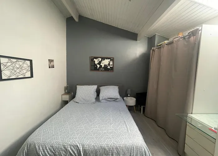 Parenthese Urbaine De Charme Avec Piscine Et Clim بوردو