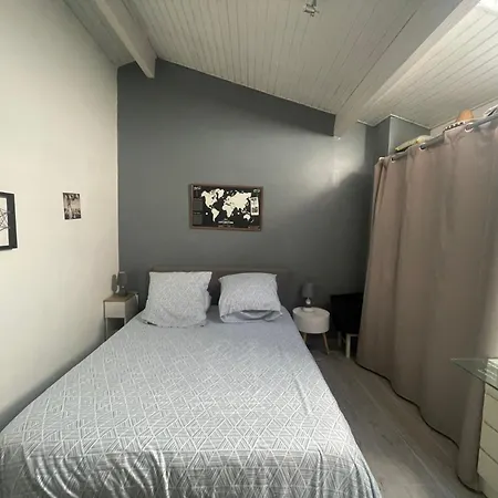 Charmante Echappee Urbaine Avec Piscine Et Climatisation Bordeaux